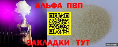 спиды Кингисепп