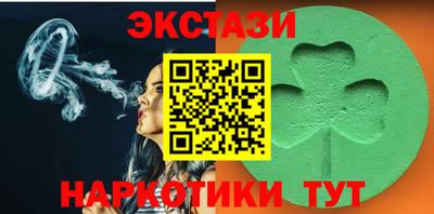 спиды Кингисепп