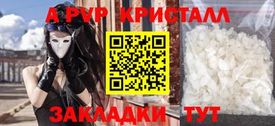 спиды Кингисепп