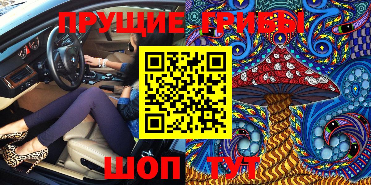 Псилоцибиновые грибы Cubensis  Вход с VPN  Балтийск 
