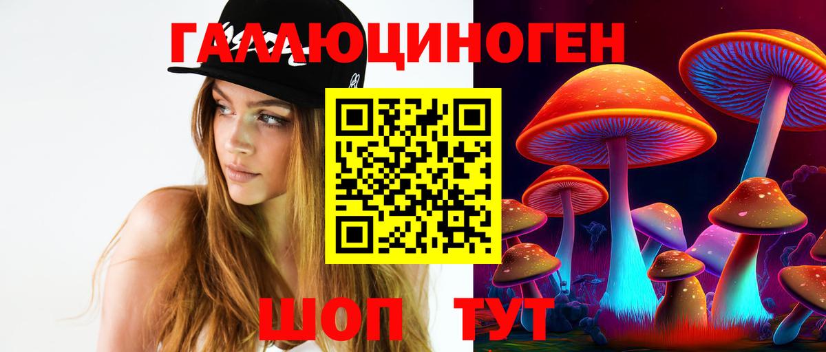 Псилоцибиновые грибы ЛСД Балтийск
